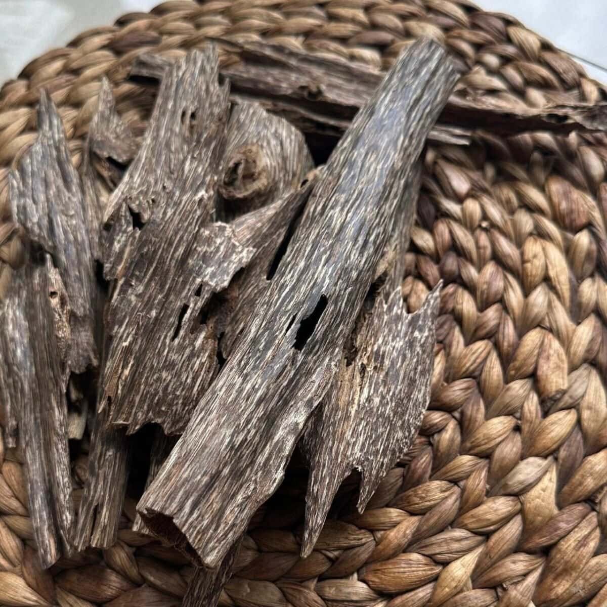 Pack 10g Oud Hindi Nagaland