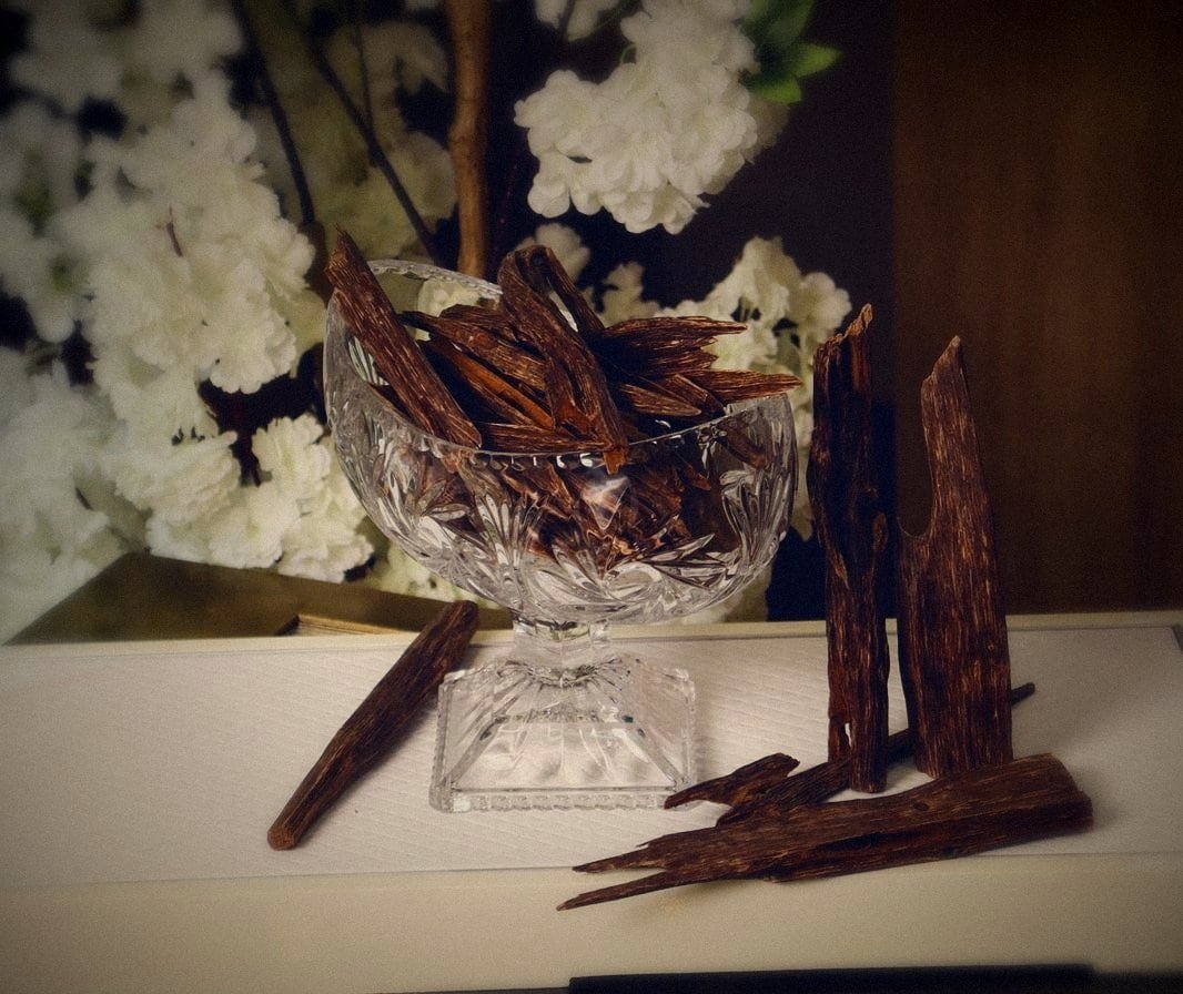 Bois d'oud dans une coupe en cristal, boutique Soltan Al Oud