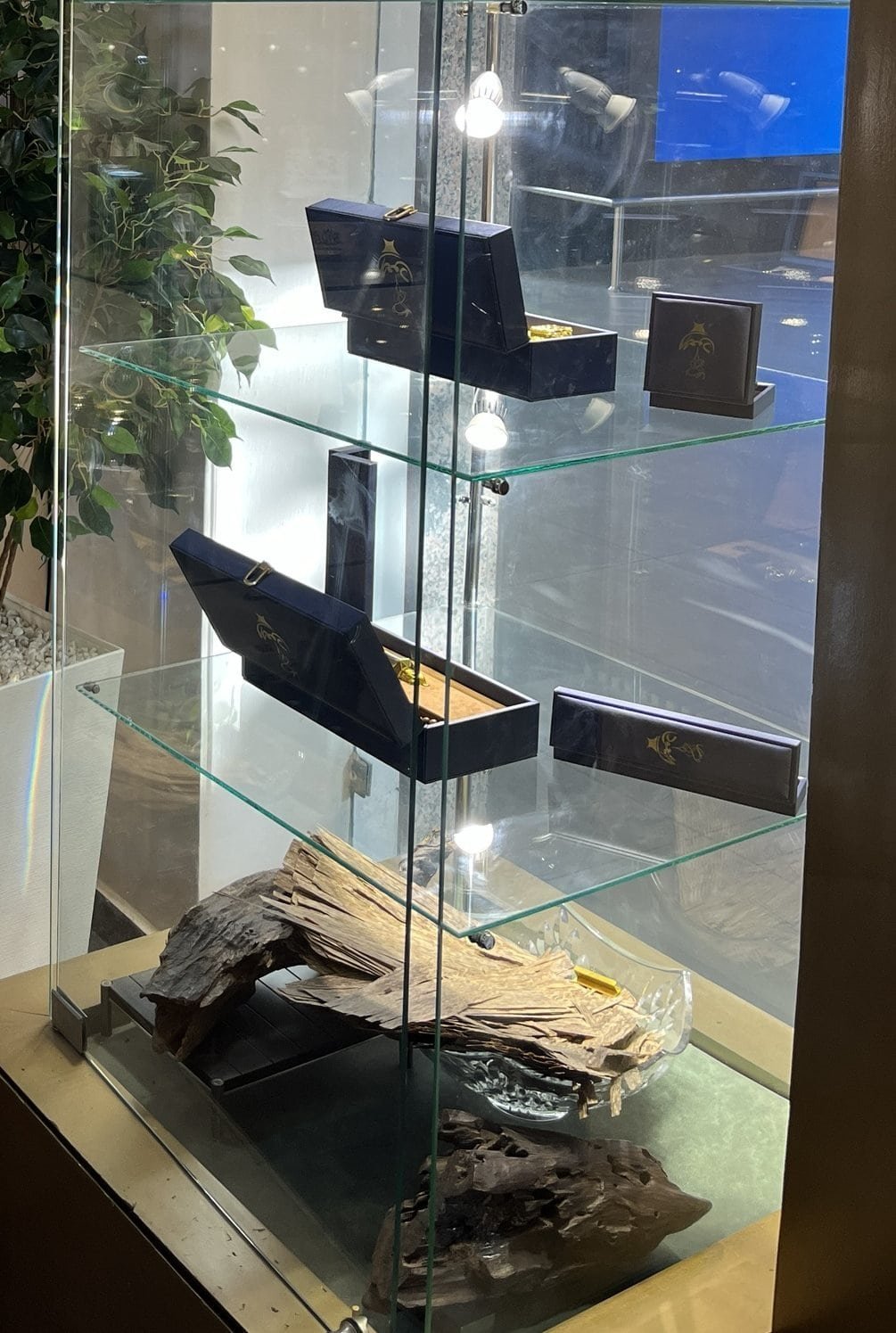 Vitrine Soltan Al Oud : coffrets bleus et pièce de bois d'oud